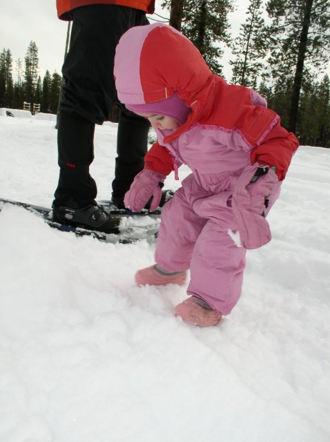 Sunriver Jan 06a 130 